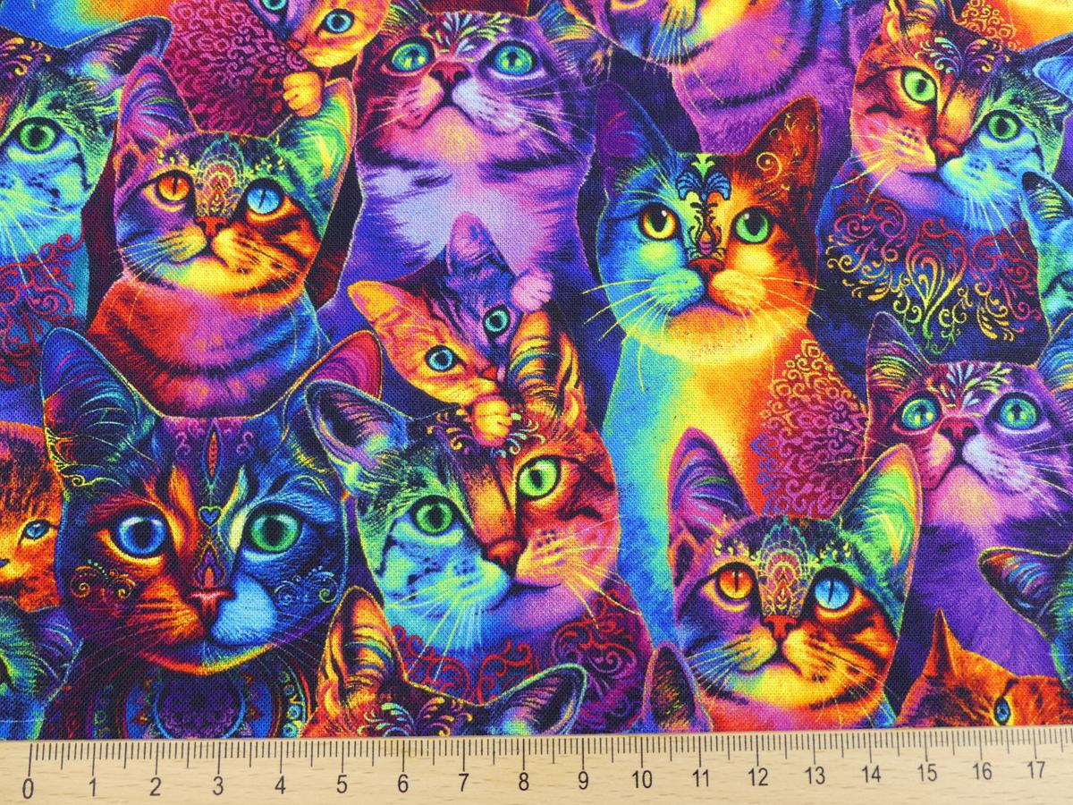 Patchworkstoff mit Katzen in Neonfarben von Timeless Treasures Ansicht mit Maß
